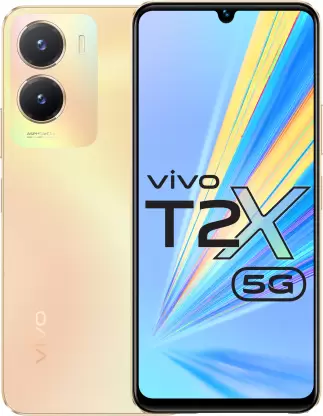 Vivo T2x 5G